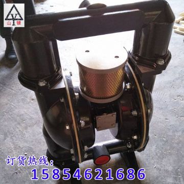 點(diǎn)擊查看詳細(xì)信息<br>標(biāo)題：氣動(dòng)隔膜泵 閱讀次數(shù)：1785
