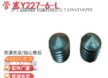 點(diǎn)擊查看詳細(xì)信息<br>標(biāo)題：英格索蘭隔膜泵配件管塞Y227-6-L 閱讀次數(shù)：214