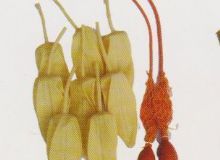 點(diǎn)擊查看詳細(xì)信息<br>標(biāo)題：取氣樣球膽 閱讀次數(shù)：77